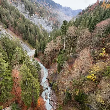 Alojamento de Acomodação e Pequeno-almoço Waldheim 3*