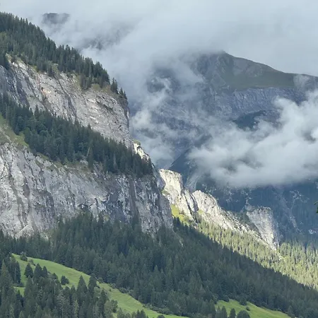 Waldheim Frühstückspension 3*