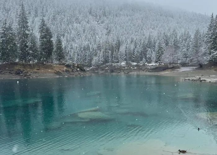 Alojamento de Acomodação e Pequeno-almoço Waldheim Laax