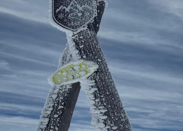 ベッド・アンド・ブレックファスト Waldheim