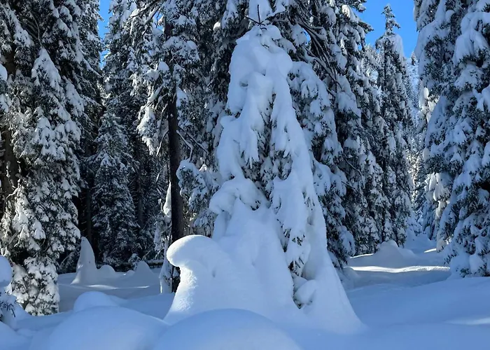 Bed & Breakfast Waldheim Laax