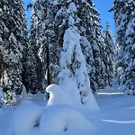 Отель типа 